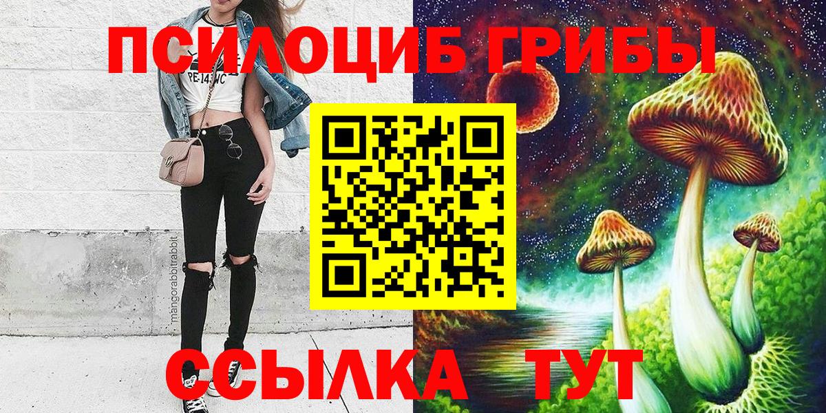 Псилоцибиновые грибы Psilocybe  хочу   Шебекино  Вход с VPN 