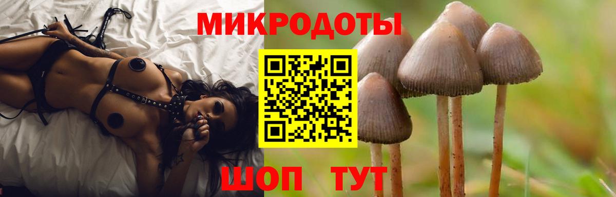 Псилоцибиновые грибы мицелий Шебекино