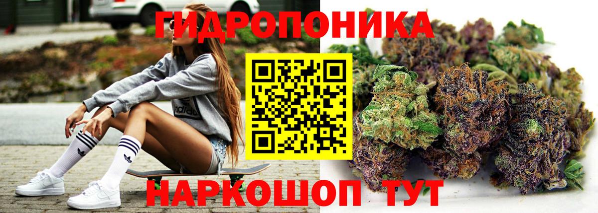 Бошки марихуана Amnesia  Вход с VPN  Шишки марихуана OG Kush  Бошки Шишки White Widow  Шебекино  Бошки Шишки THC 21% 